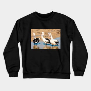 Australians Pod of Pelicans Crewneck Sweatshirt